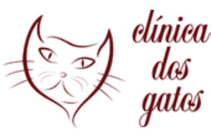 A Clínica dos Gatos é uma das melhores clínicas veterinárias em Portugal 