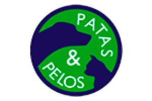 Patas e Pelos é otra das melhores clínicas veterinárias em Portugal 