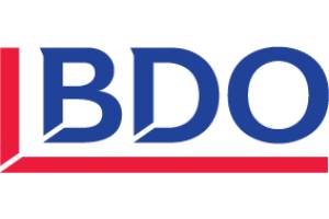 analistas de dados - BDO Portugal
