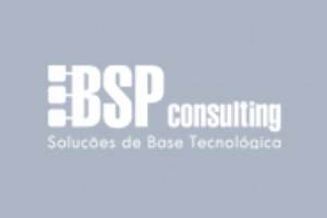 BSP Consulting
