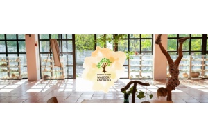 Jardim Escola Waldorf Amoreira