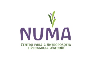 Numa Escola Waldorf