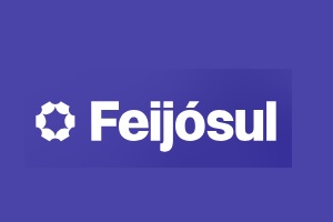 Logótipo da Feijosul