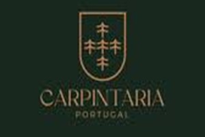 Carpintaria Portugal negócios de carpintaria de Portugal